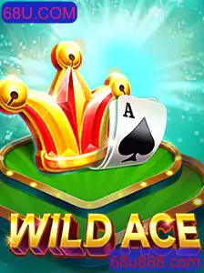 Explorando o Universo de WildAce: Um Novo Horizonte nos Jogos Online